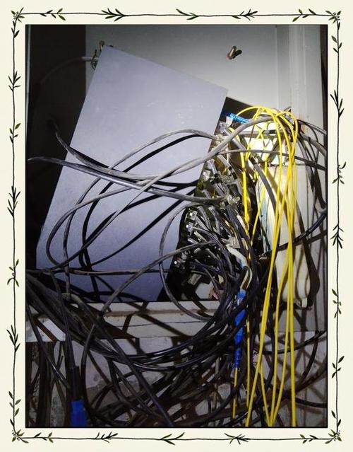 家里网突然断了怎么办