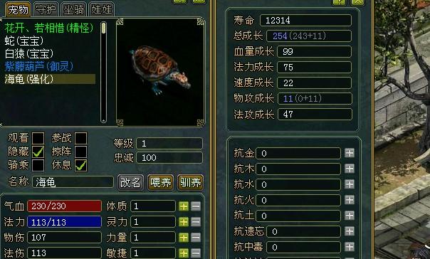 问道海龟羽化值得吗
