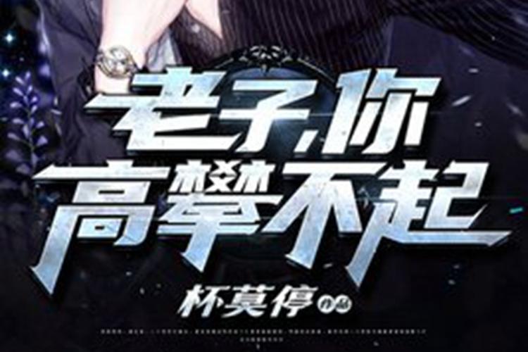 高攀小说