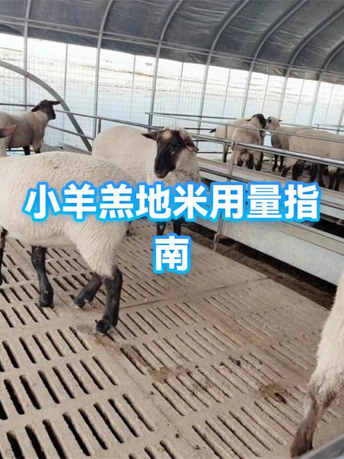 地米最新版的说明书