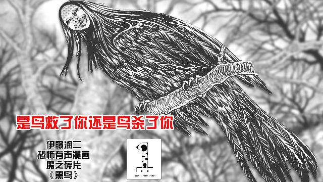 黑鸟真人真事结局