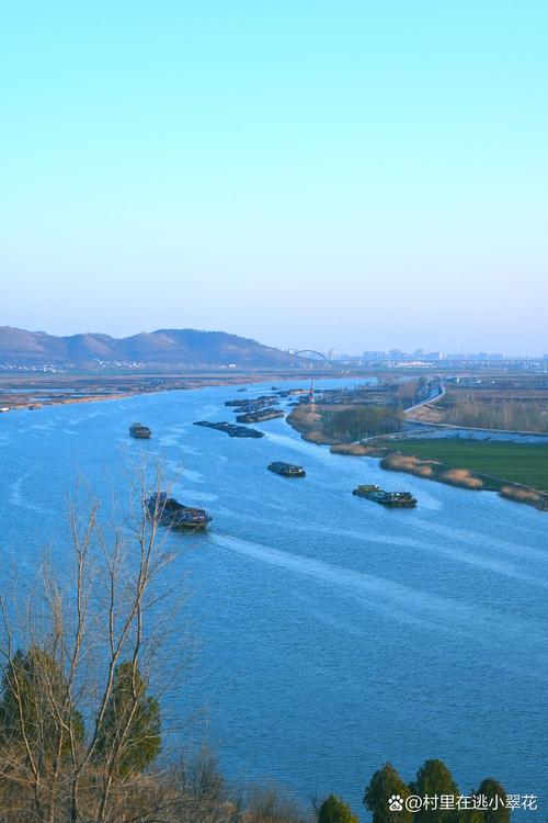 大河报怎么下载电子版照片图标
