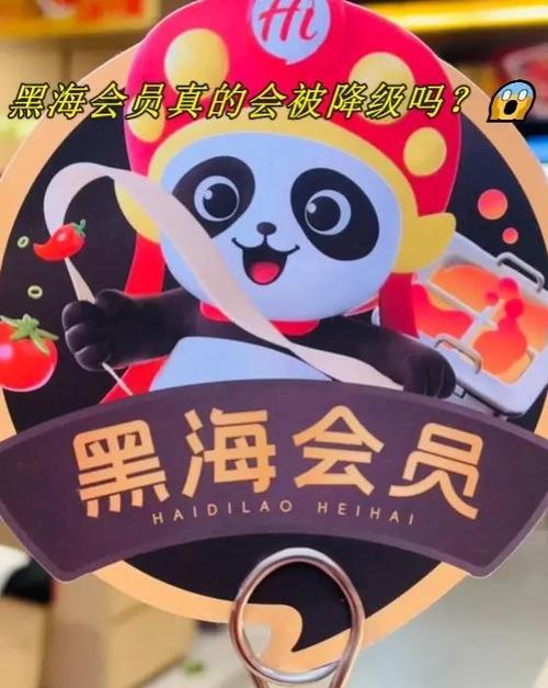 黑海会员是顶级会员吗缩略图