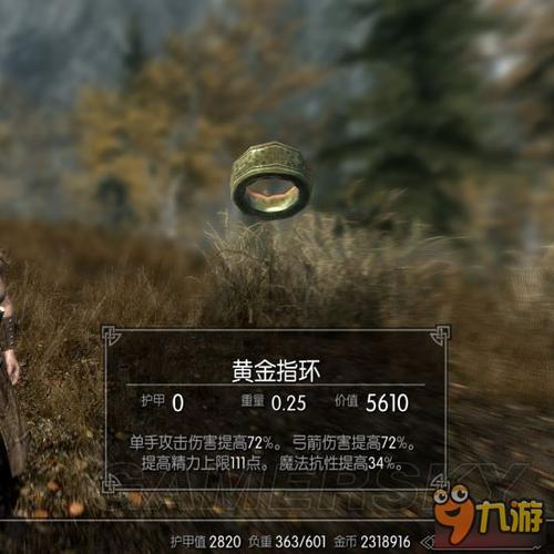 上古卷轴5法术药水