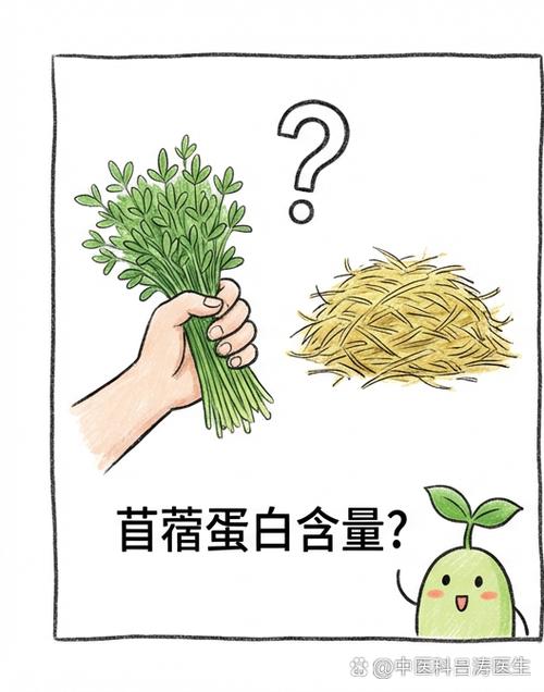 苜蓿蛋白质含量游戏截图