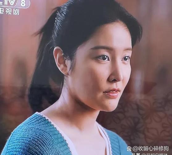 未婚先孕生孩子电视剧