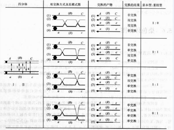 交换和交易的区别