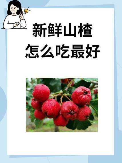 山楂怎么吃降甘油三酯