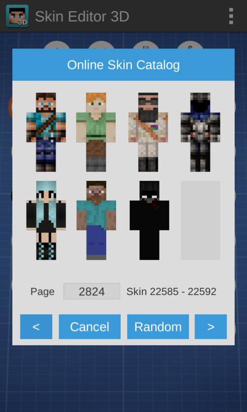 skin3D下载安装
