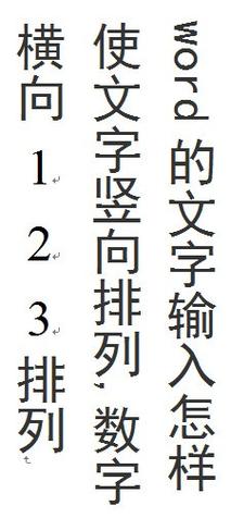 怎么让word竖排文字里的数字横着截图