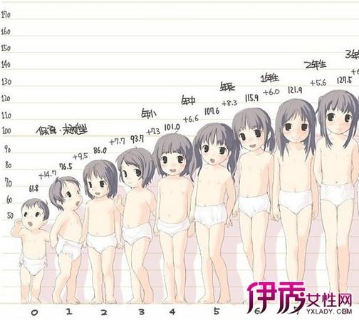 女孩发育过程