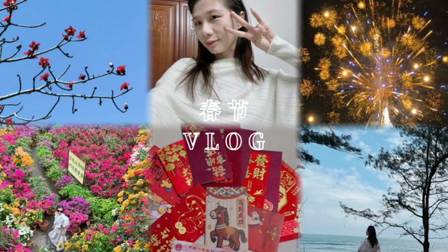 春节vlog视频