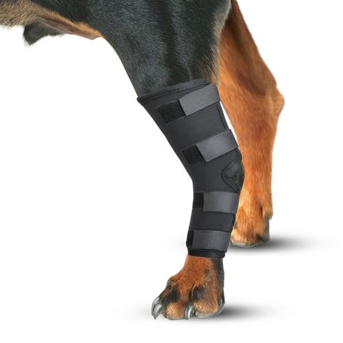 猎犬护具