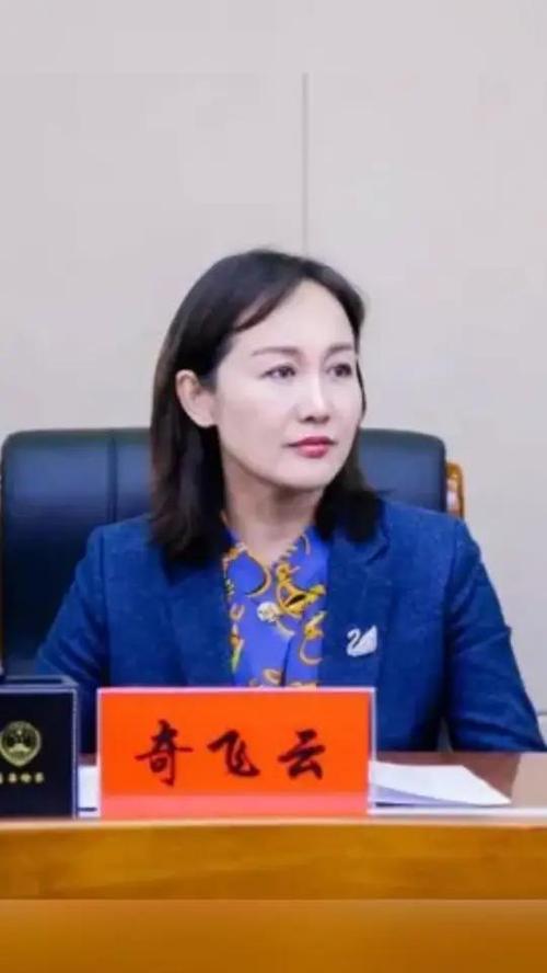 起飞云TV版