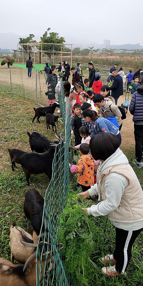 亲子农场投资要多少钱游戏截图