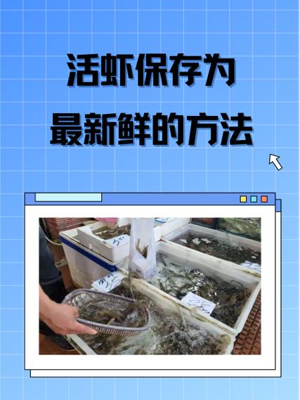 活虾买回来怎么保存最新鲜
