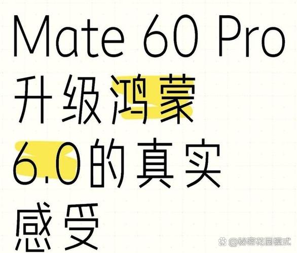 鸿蒙6不适配皇室战争