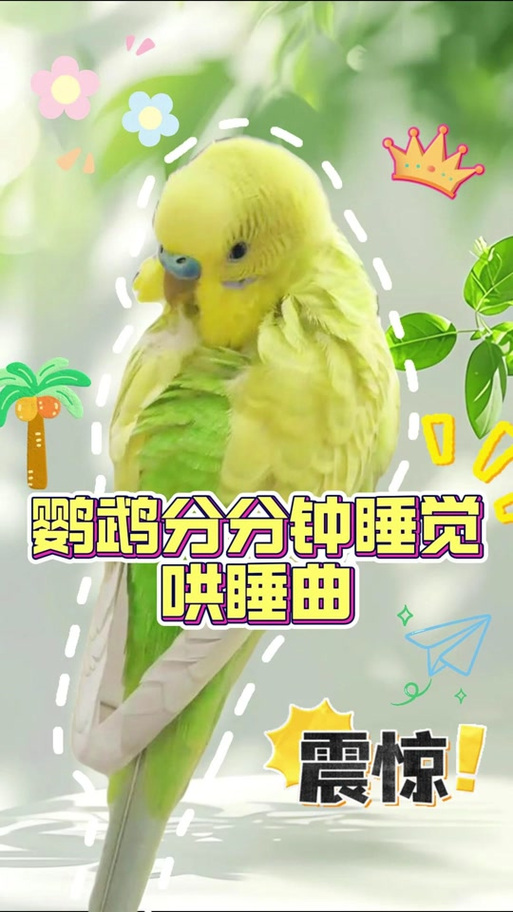 录音(你好)循环播放