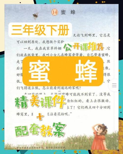 三年级介绍蜜蜂的知识
