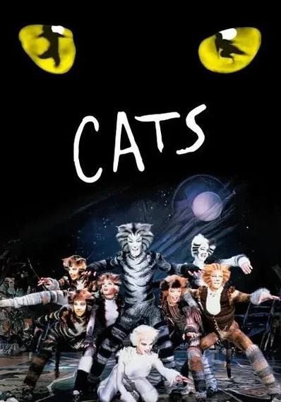 猫猫音乐