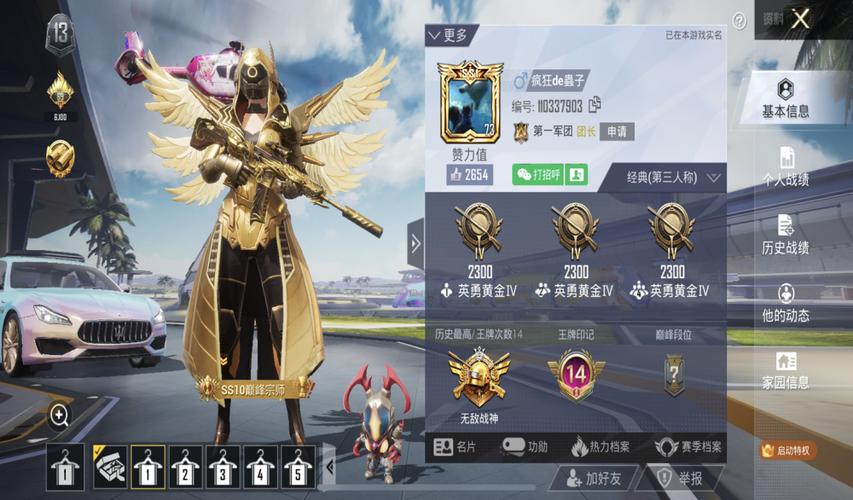 和平精英 兵团缩略图