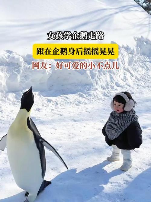 女生走路像企鹅的原因