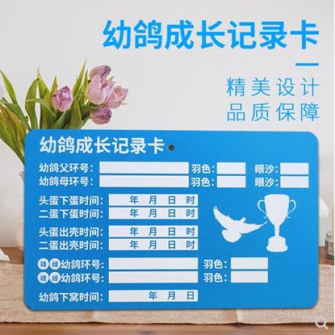 蓝鸽子是什么软件