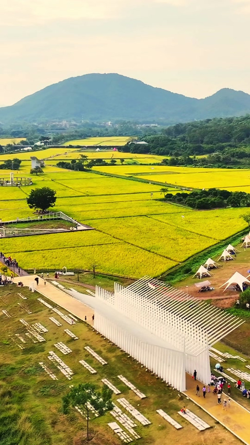 从化区艾米小镇油菜花景点介绍截图