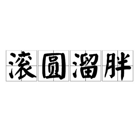 身体最胖的成语和解释