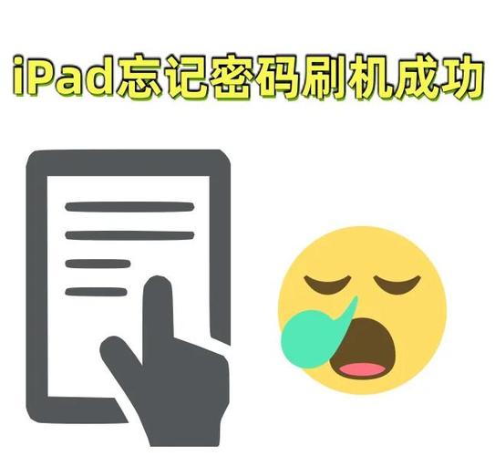 输入ipad密码缩略图