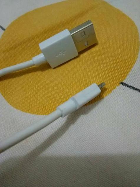苹果充电器掉进水里还能用吗