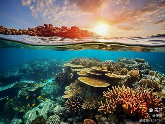 北海海底世界和海洋之窗截图