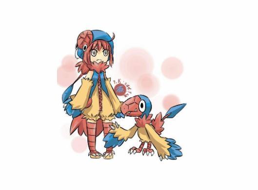 口袋妖怪白金锐利鸟嘴