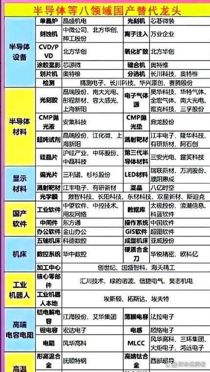 半导体国产替代龙头股截图