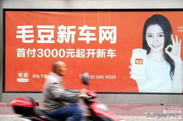 加盟毛豆新车赚钱模式截图