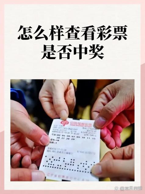 www.80846.com开奖结果查询