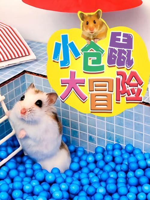 小仓鼠大冒险1-60集全免费观看缩略图