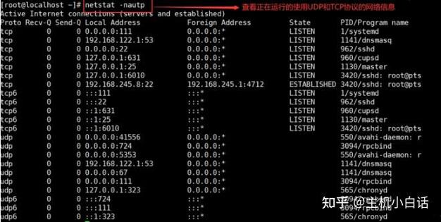 服务器端口检测