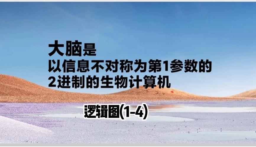 人的大脑是几进制