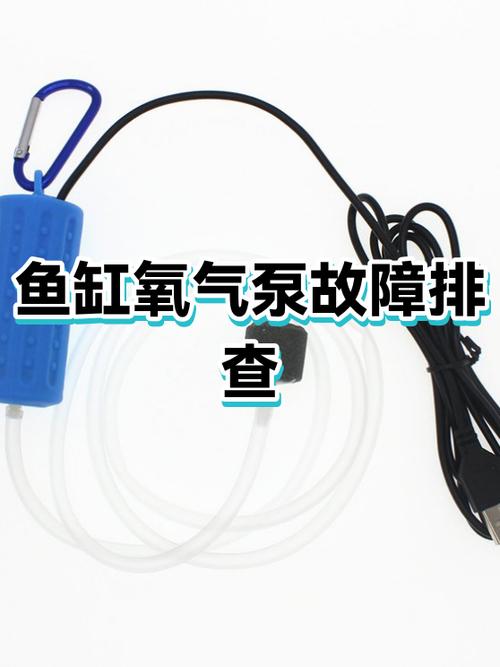 鱼缸的泵不上水怎么办