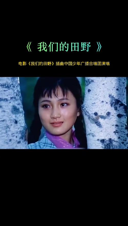 电影我们的田野简介截图