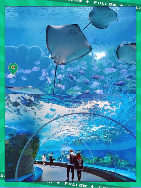 泉州动物园海洋世界