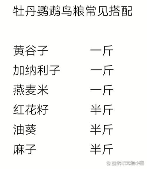牡丹鹦鹉主粮吃什么缩略图