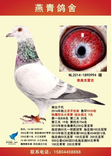 泰迦奥特曼和泰罗奥特曼缩略图