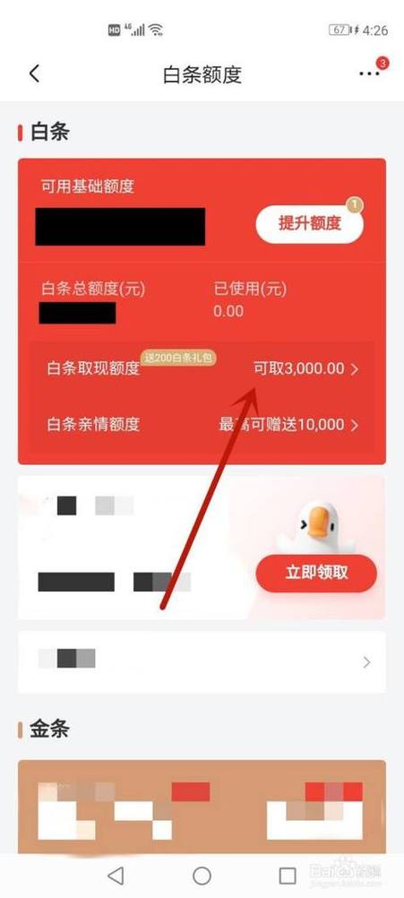白条软件