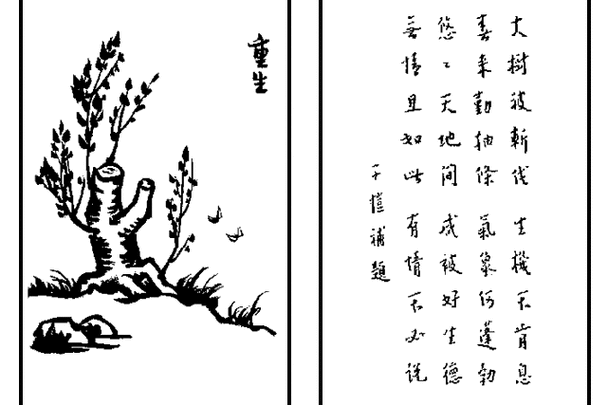 作家助手怎么找回删除的作品