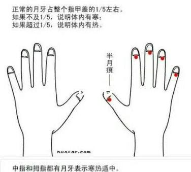 iphone月牙是什么