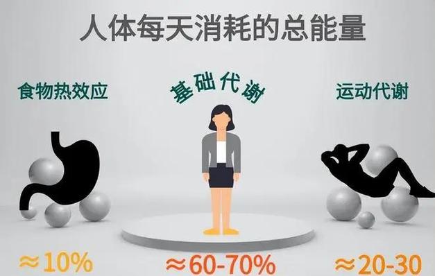 睡觉消耗能量的原因缩略图