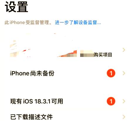 苹果系统怎么更新到指定版本