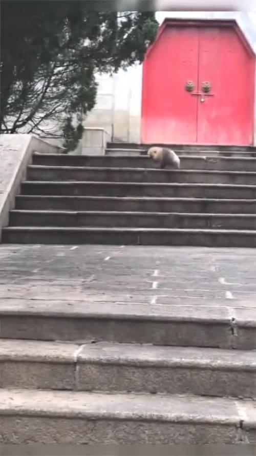 一路滚爬截图